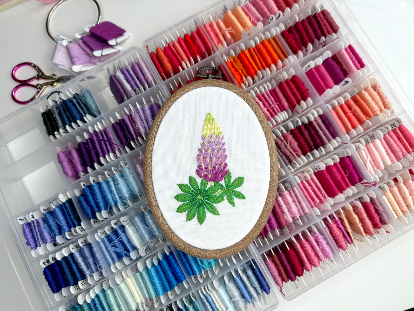 Lupin Hand Embroidery Pattern + Video Tutorials for Beginners and Intermediate Stitchers | 7-8 in Hoop Size