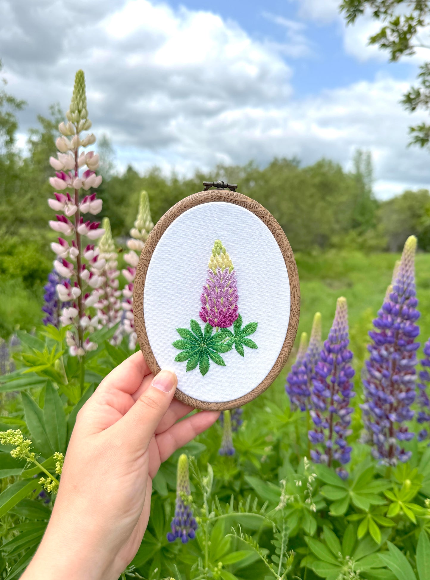 Lupin Hand Embroidery Pattern + Video Tutorials for Beginners and Intermediate Stitchers | 7-8 in Hoop Size